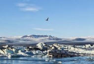 冰岛可能真要变冰岛,海岛奇兵怎么冰岛？