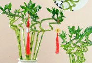 转运车向河里倒垃圾,水养的转运竹应该在水里加什么营养液？