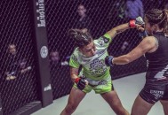 中国拳王在澳遭袭击,中国拳王在澳遭袭击视频