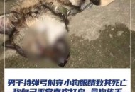 将狗摔死男子被行拘,打死一只狗判几年？