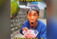 点拼好饭被骂狗饭 ,狗狗吃饱饭之后老是哼哼？