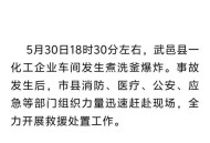 车间爆炸致1死3重伤,葫芦岛一化工厂发生爆炸起火，事故造成2人重伤，经抢救无效死亡，目前明火已被扑灭。你怎么看？