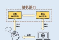 靠脑机接口重新行走,脑机接口不用通过外部设备可以自主行走吗？
