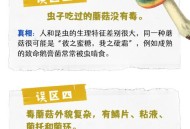 吃菌中毒女童身亡,蘑菇中毒的原因是什么？