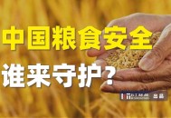 人均粮食占有量1000斤 ,2018年中国人均粮食占有量？