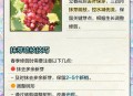 中方回应朝不无核化,春季农村葡萄秧苗的扦插都需要注意哪些问题？对于葡萄品种的选择你又有什么建议？