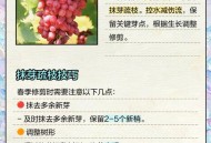 中方回应朝不无核化,春季农村葡萄秧苗的扦插都需要注意哪些问题？对于葡萄品种的选择你又有什么建议？