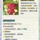 中方回应朝不无核化,春季农村葡萄秧苗的扦插都需要注意哪些问题?对于葡萄品种的选择你又有什么建议?