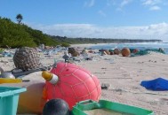 无人岛现巨大垃圾坑,垃圾池垃圾每天无人清扫，给居民生活环境带来很大污染，该谁管？