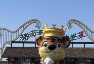 动物园花5万招司机,济南野生动物园自驾票几个人? 动物园花5万招司机,济南野生动物园自驾票几个人?