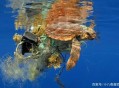 把垃圾废水倒入电梯,把垃圾废水倒入电梯里