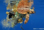 把垃圾废水倒入电梯,把垃圾废水倒入电梯里