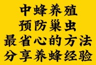 墙中挖出约野生蜂蜜,如何将蜜蜂从墙壁引出来，并且变害为益，提供蜂蜜？