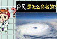 台风的名字是谁取的,台风的名字是谁起的？