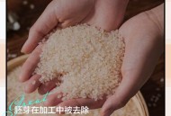 日本想抑制大米生产,日本大米起源？