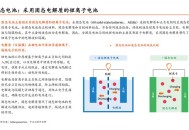 我国固态电池突破,我国固态电池突破关键瓶颈!续航超1000公里不远了?