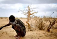 非洲大屠杀上千人死,非洲 大屠杀