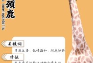 长颈鹿脑袋被卡护栏,长颈鹿被撞掉头