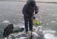 以糖为诱险带走女童,冬天钓鲫鱼饵料加点糖好吗？