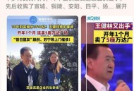 王健林及万达被起诉,王健林万达集团
