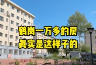 老人去世留8套房,男子花十万买了八套房！鹤壁会是下一个鹤岗吗？