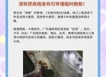 深圳宣布明后天停课,深圳有些区域为什么停课了？