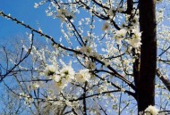 北京周五的雪稳了,北京星期一不闭馆的地方有哪些？