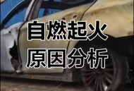 特斯拉起火致5死,特斯拉自燃起火原因？