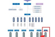 万科组织架构大调整,万科企业矩阵组织结构的优势？