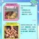3箱活珠子孵出小鸡,3箱活珠子孵出小鸡怎么办