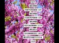 8个6手机号200万元,八个6手机号大概多少钱