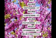 8个6手机号200万元,八个6手机号大概多少钱