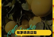 柚子跟85种药物相冲,柚子跟85种药物相冲吗