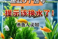 买观赏鱼收到1袋水,新买的观赏鱼，水和鱼一起倒缸里吗？还是就放鱼，不要袋里的水？