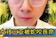 三亚一酒店虫子成群,三亚海边咬人的小黑虫是什么？