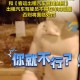 女子骂吸烟领导被辞  ,如何评价一女子在滴滴打车上“抽烟”，就是不下车，还出言骂司机？