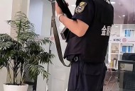 男子持玩具枪拦车,男子拿枪