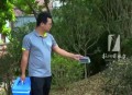最大蚊子工厂将投产,广东最大的蚊子？