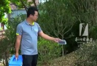 最大蚊子工厂将投产,广东最大的蚊子？