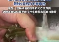 渔民被海鲜刺伤身亡,珠海哪里有渔民卖海鲜？