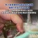 渔民被海鲜刺伤身亡,珠海哪里有渔民卖海鲜？