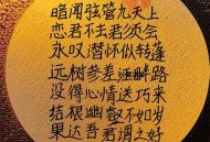 苦寻救命恩人9个月,救苦寻声 苦寻救命恩人9个月,救苦寻声