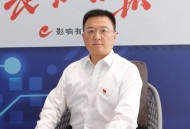 湖北严肃问责185人,湖北严肃问责185人名单