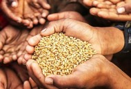 中国护世界粮食安全,保障粮食安全的措施有哪些？