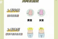 双子宫女子怀孕,双子宫女子怀孕几率大吗