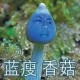 一家四口自驾翻车,网络流行语,老司机开车和翻车是啥意思？