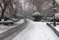 多地宣布放雪假,2021年11月大雪都哪里放假？