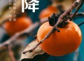 霜降是秋天最后一站,霜降秋天最后一站与秋天道别 霜降是秋天最后一站,霜降秋天最后一站与秋天道别