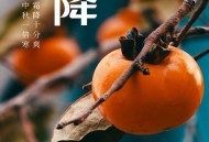 霜降是秋天最后一站,霜降秋天最后一站与秋天道别 霜降是秋天最后一站,霜降秋天最后一站与秋天道别