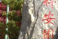 挖10座墓偷骨灰盒,挖10座墓偷骨灰盒犯法吗